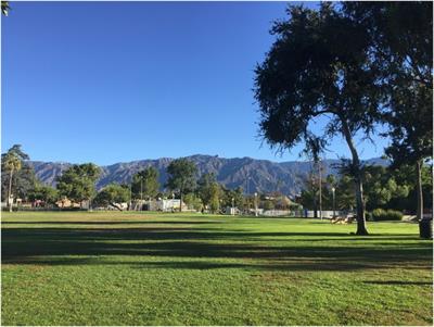 Urban parks are a refuge for birds in park-poor areas